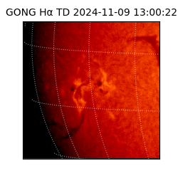 gong - 2024-11-09T13:00:22