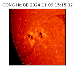 gong - 2024-11-09T15:15:02