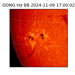 gong - 2024-11-09T17:00:02