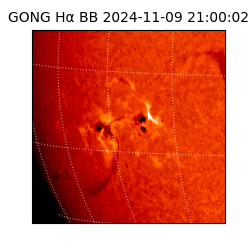 gong - 2024-11-09T21:00:02