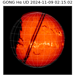 gong - 2024-11-09T02:15:02