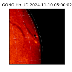 gong - 2024-11-10T05:00:02