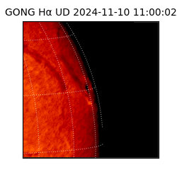 gong - 2024-11-10T11:00:02