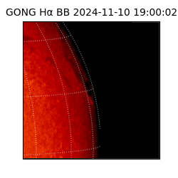 gong - 2024-11-10T19:00:02