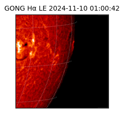 gong - 2024-11-10T01:00:42