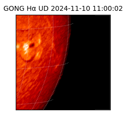 gong - 2024-11-10T11:00:02