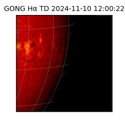 gong - 2024-11-10T12:00:22