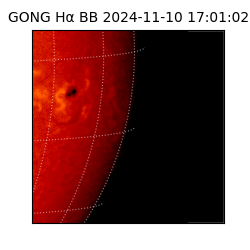 gong - 2024-11-10T17:01:02