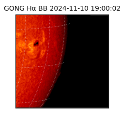 gong - 2024-11-10T19:00:02