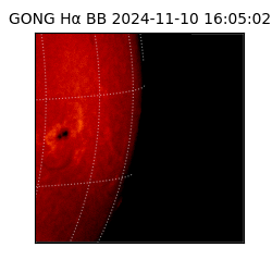 gong - 2024-11-10T16:05:02