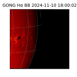 gong - 2024-11-10T18:00:02