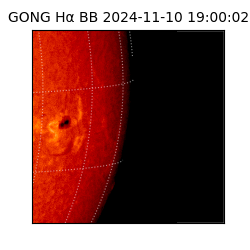 gong - 2024-11-10T19:00:02