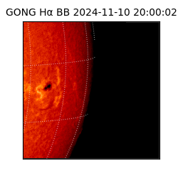 gong - 2024-11-10T20:00:02