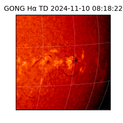 gong - 2024-11-10T08:18:22