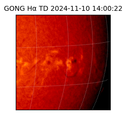 gong - 2024-11-10T14:00:22