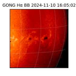 gong - 2024-11-10T16:05:02