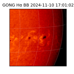 gong - 2024-11-10T17:01:02