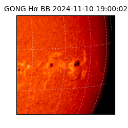 gong - 2024-11-10T19:00:02