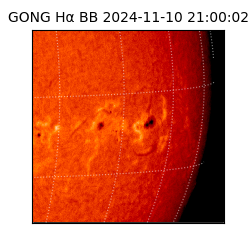 gong - 2024-11-10T21:00:02