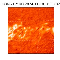 gong - 2024-11-10T10:00:02