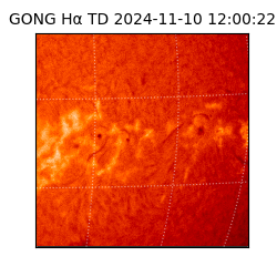 gong - 2024-11-10T12:00:22