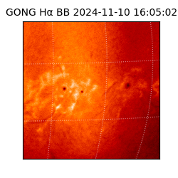 gong - 2024-11-10T16:05:02