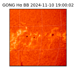 gong - 2024-11-10T19:00:02