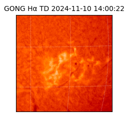 gong - 2024-11-10T14:00:22