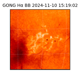 gong - 2024-11-10T15:19:02