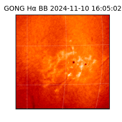 gong - 2024-11-10T16:05:02