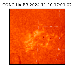 gong - 2024-11-10T17:01:02