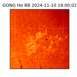 gong - 2024-11-10T18:00:02