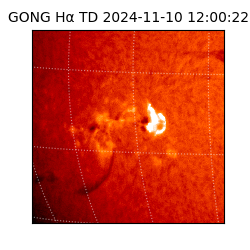 gong - 2024-11-10T12:00:22