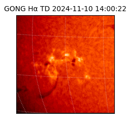 gong - 2024-11-10T14:00:22