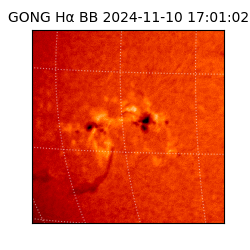 gong - 2024-11-10T17:01:02