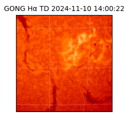 gong - 2024-11-10T14:00:22