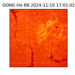 gong - 2024-11-10T17:01:02