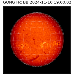 gong - 2024-11-10T19:00:02