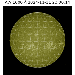 saia - 2024-11-11T23:00:14.132000