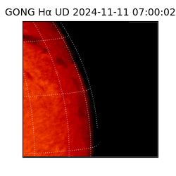 gong - 2024-11-11T07:00:02