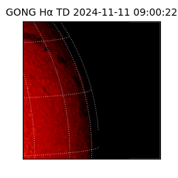 gong - 2024-11-11T09:00:22