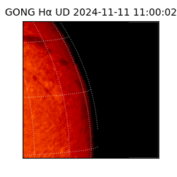 gong - 2024-11-11T11:00:02