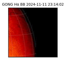 gong - 2024-11-11T23:14:02