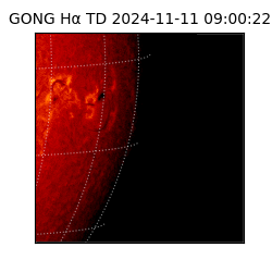 gong - 2024-11-11T09:00:22