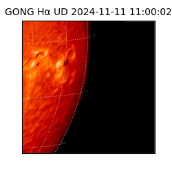 gong - 2024-11-11T11:00:02