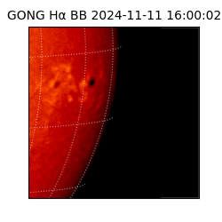 gong - 2024-11-11T16:00:02