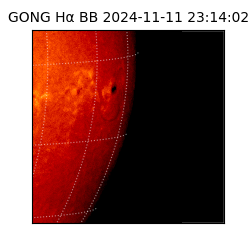 gong - 2024-11-11T23:14:02