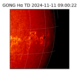 gong - 2024-11-11T09:00:22