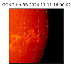 gong - 2024-11-11T16:00:02