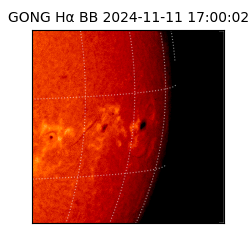 gong - 2024-11-11T17:00:02